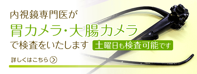 消化器専門医・内視鏡専門医が胃カメラ・大腸カメラで検査をいたします。土曜日も検査可能です。